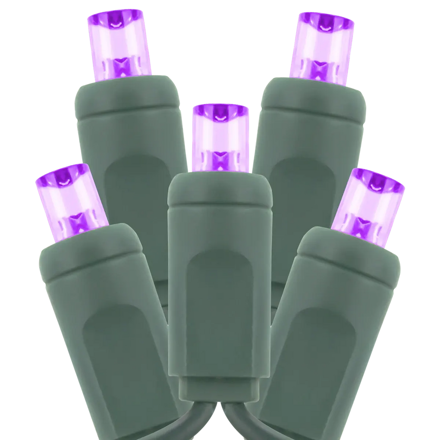 Commercial Coaxial Light String 5MM Purple 50/6in