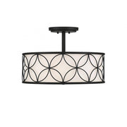 Reid 4-Light Ceiling Light in Matte Black