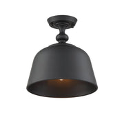 Berg 1-Light Ceiling Light in Matte Black