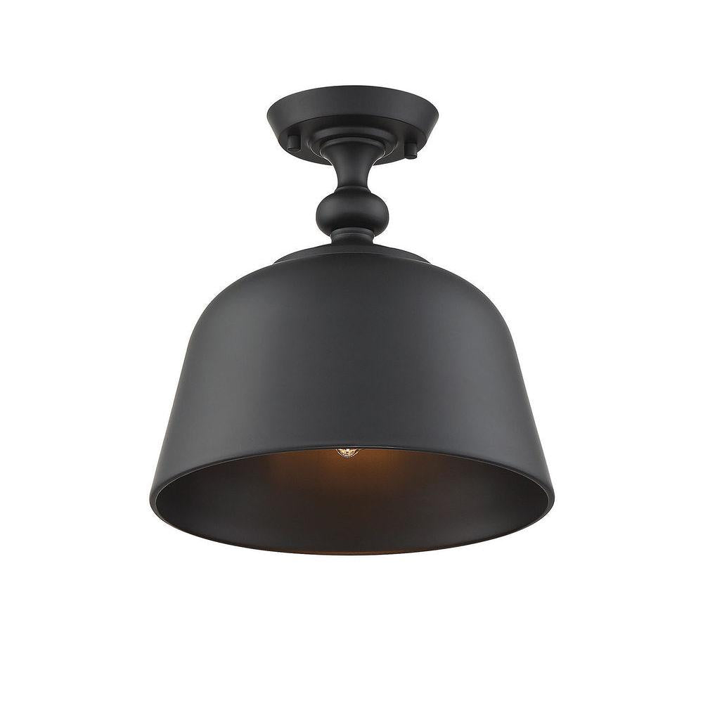 Berg 1-Light Ceiling Light in Matte Black