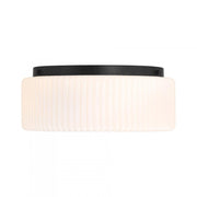 Edgemont 4-Light Ceiling Light in Matte Black
