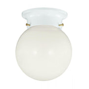 1-Light Ceiling Light in White