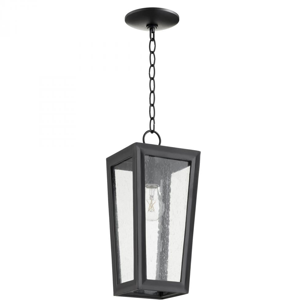 Quorum Lighting BRAVO 716-6-69 Pendant Transitional - Textured Black