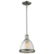1 Light Pendant-Clear Seedy