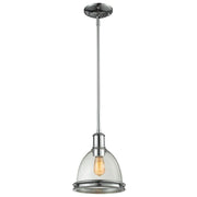 1 Light Pendant-Clear Seedy
