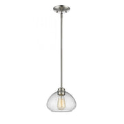 1 Light Pendant-Clear Seedy