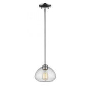 1 Light Pendant-Clear Seedy