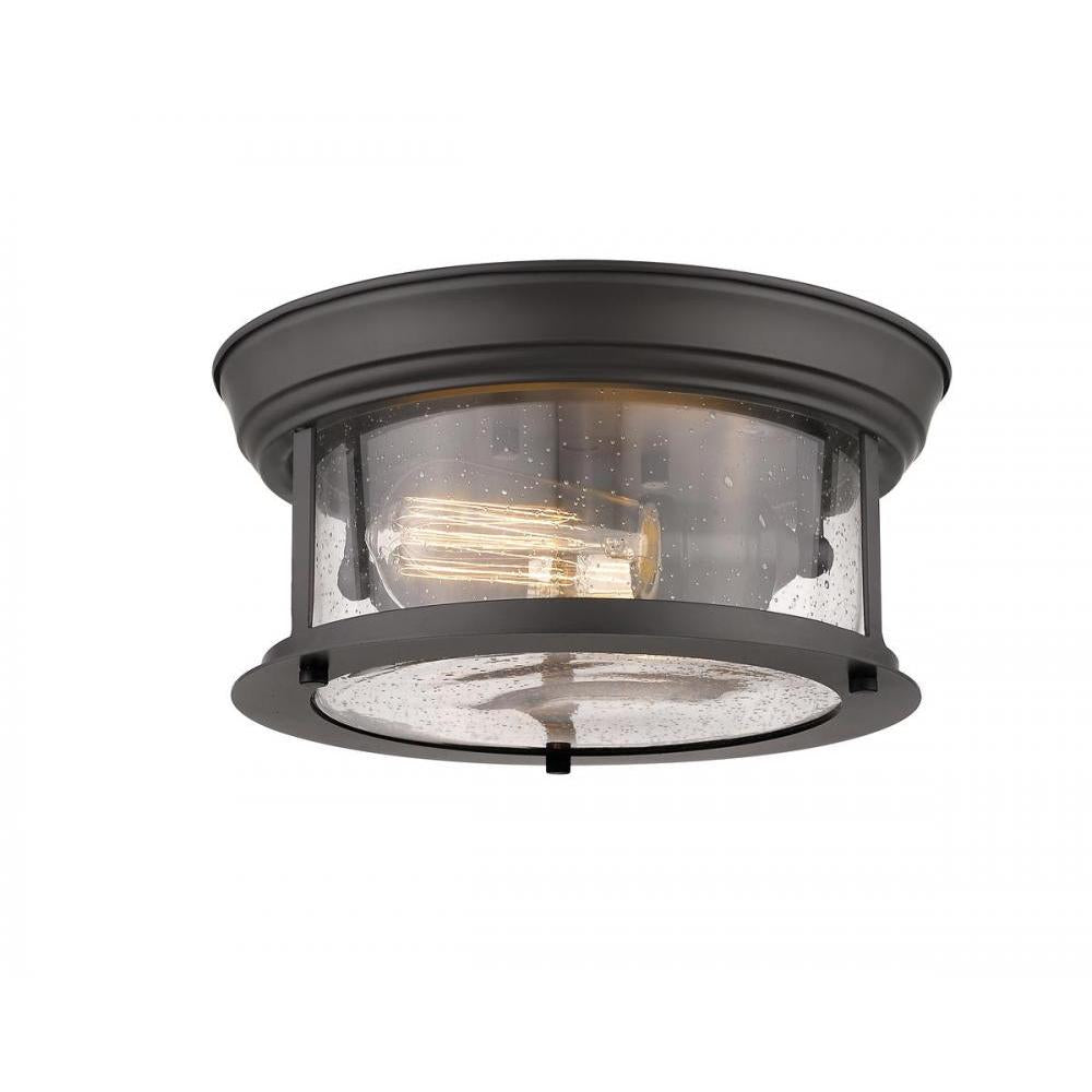 2 Light Flush Mount Light-Clear Seedy