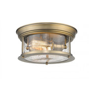 2 Light Flush Mount Light-Clear Seedy