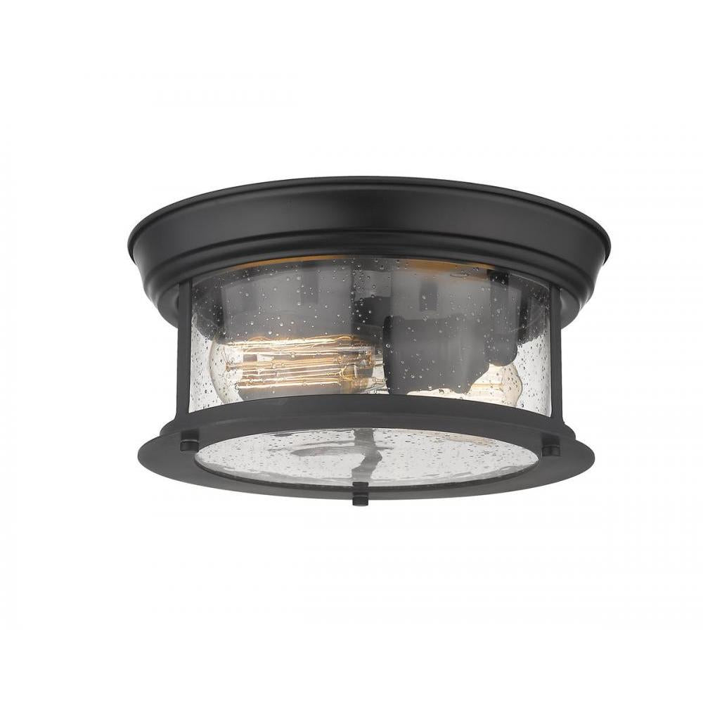 2 Light Flush Mount Light-Clear Seedy