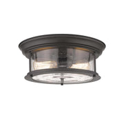 2 Light Flush Mount Light-Clear Seedy