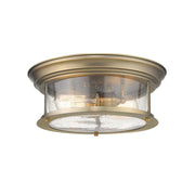 2 Light Flush Mount Light-Clear Seedy