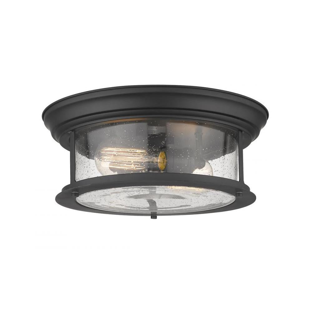 2 Light Flush Mount Light-Clear Seedy
