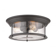 3 Light Flush Mount Light-Clear Seedy