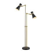 2 Light Floor Lamp