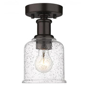 1 Light Flush Mount Light-Clear Seedy