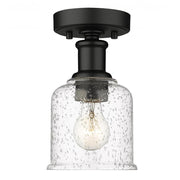 1 Light Flush Mount Light-Clear Seedy
