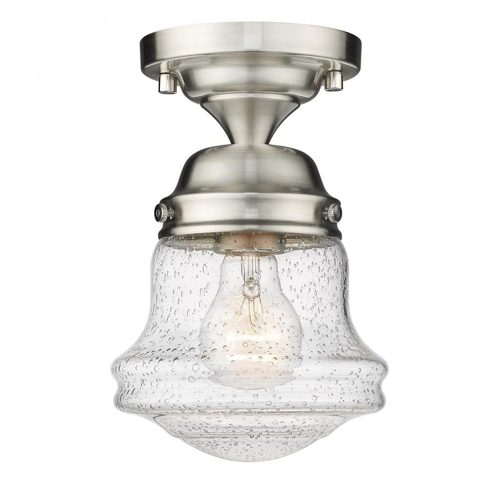 1 Light Flush Mount Light-Clear Seedy
