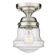 1 Light Flush Mount Light-Clear Seedy