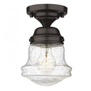 1 Light Flush Mount Light-Clear Seedy