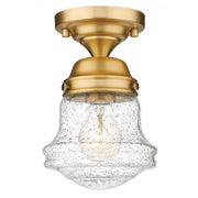 1 Light Flush Mount Light-Clear Seedy