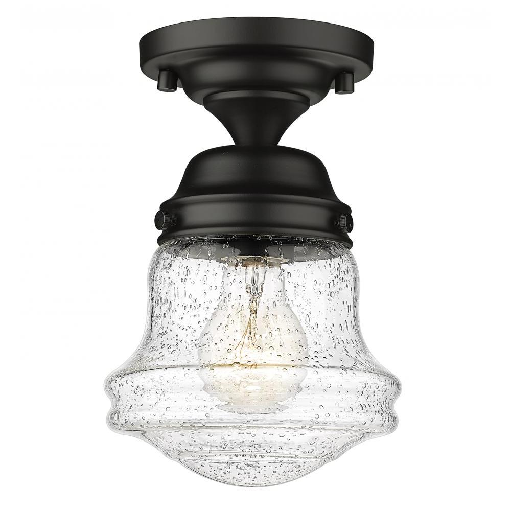 1 Light Flush Mount Light-Clear Seedy