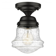 1 Light Flush Mount Light-Clear Seedy