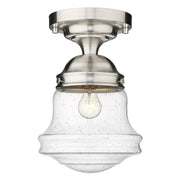 1 Light Flush Mount Light-Clear Seedy