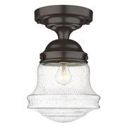 1 Light Flush Mount Light-Clear Seedy