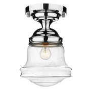 1 Light Flush Mount Light-Clear Seedy