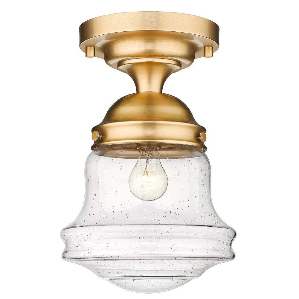 1 Light Flush Mount Light-Clear Seedy
