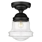 1 Light Flush Mount Light-Clear Seedy