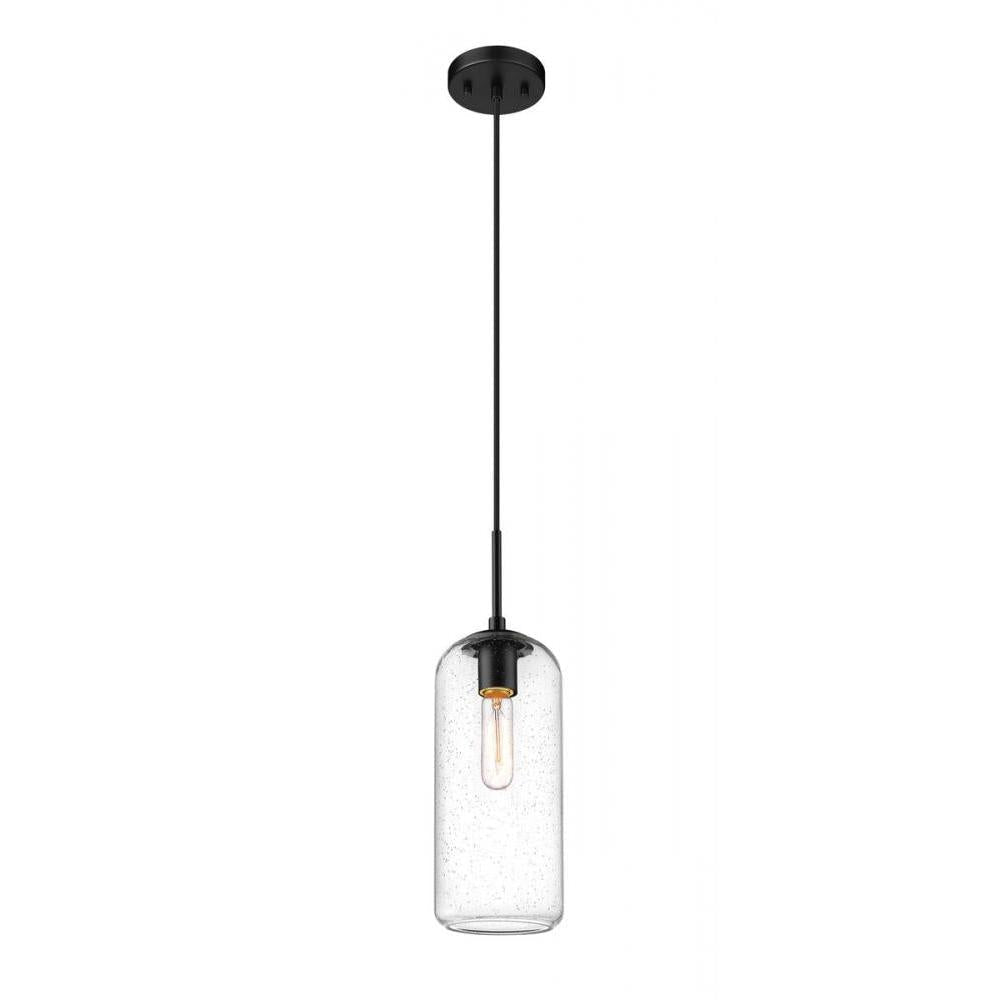1 Light Pendant-Clear Seedy