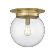 1 Light Flush Mount Light-Clear Seedy