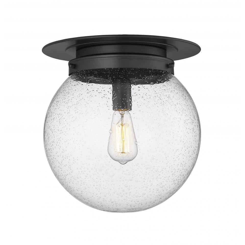 1 Light Flush Mount Light-Clear Seedy