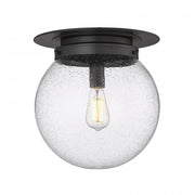 1 Light Flush Mount Light-Clear Seedy