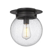 1 Light Flush Mount Light-Clear Seedy