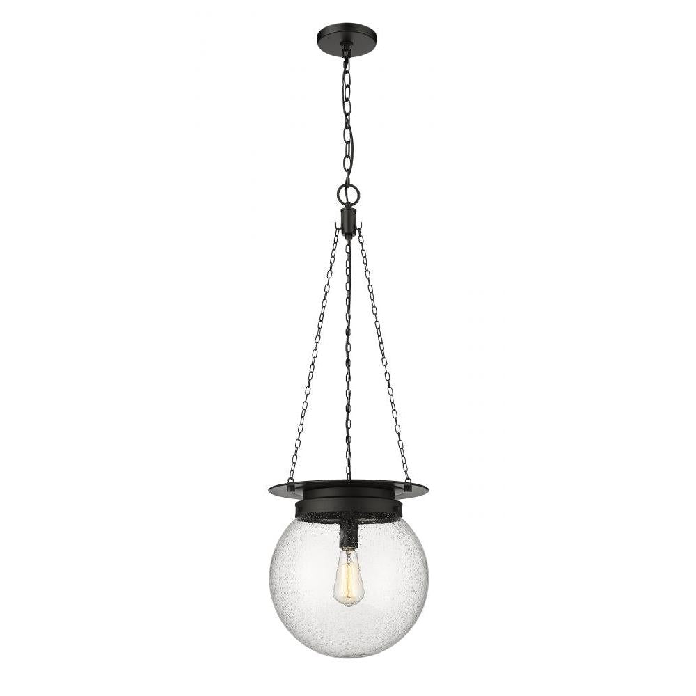 1 Light Pendant-Clear Seedy