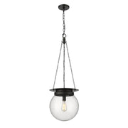 1 Light Pendant-Clear Seedy