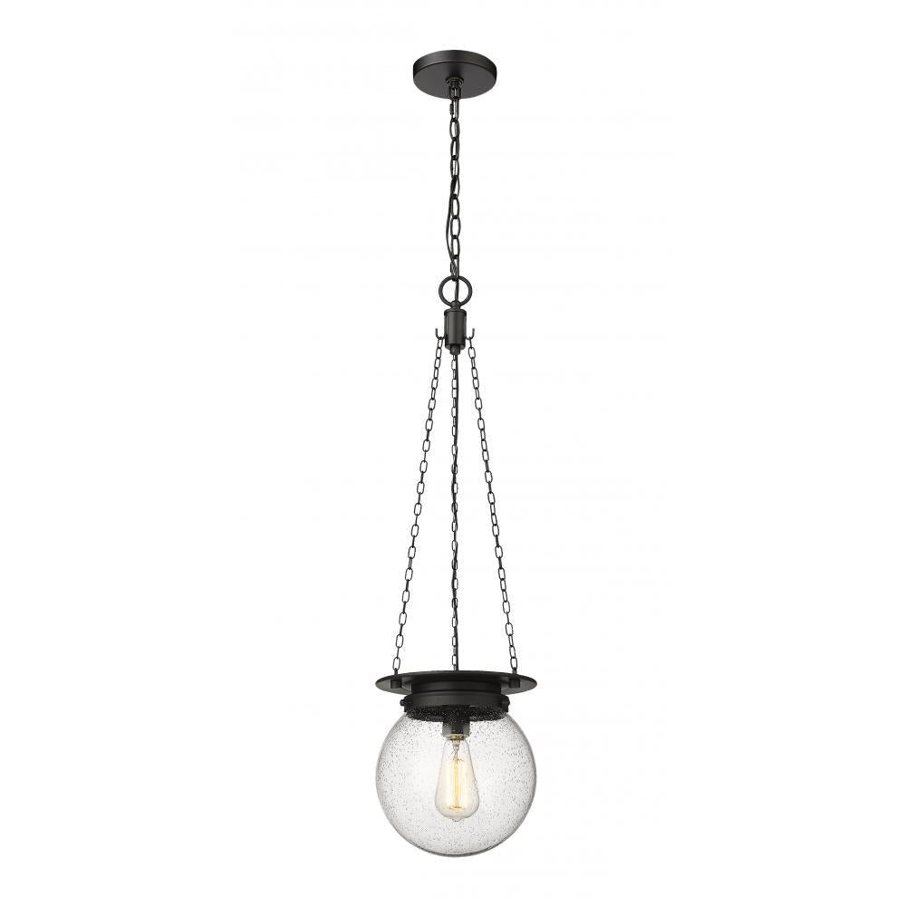 1 Light Pendant-Clear Seedy