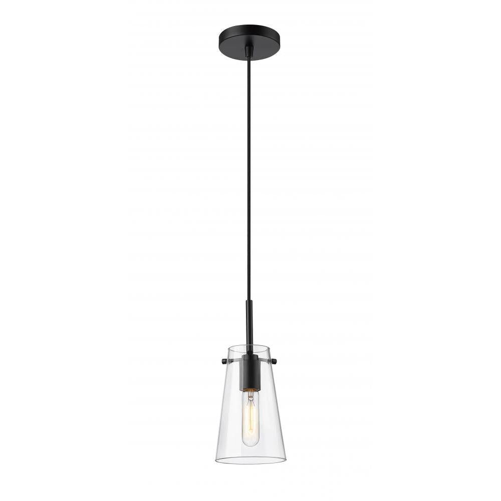 1 Light Pendant-Clear
