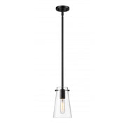 1 Light Pendant-Clear