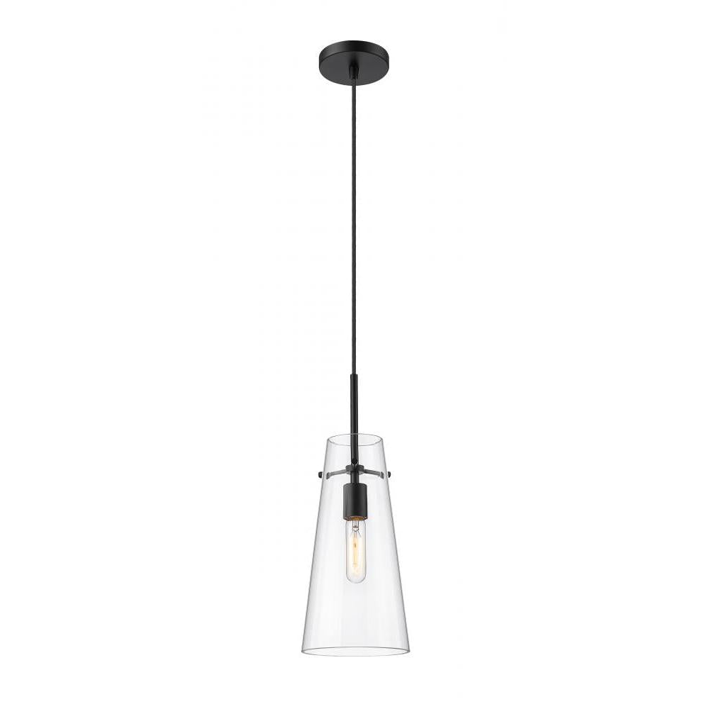 1 Light Pendant-Clear