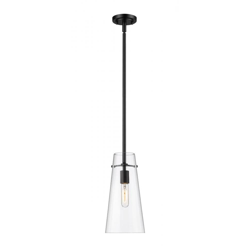 1 Light Pendant-Clear