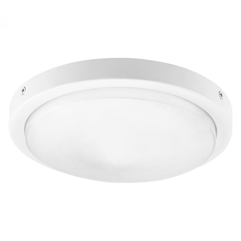 Quorum Lighting TITUS 8-208-8 Fan Accessory Transitional - Studio White