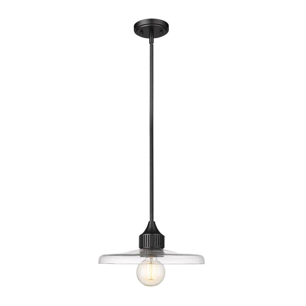 1 Light Pendant-Clear