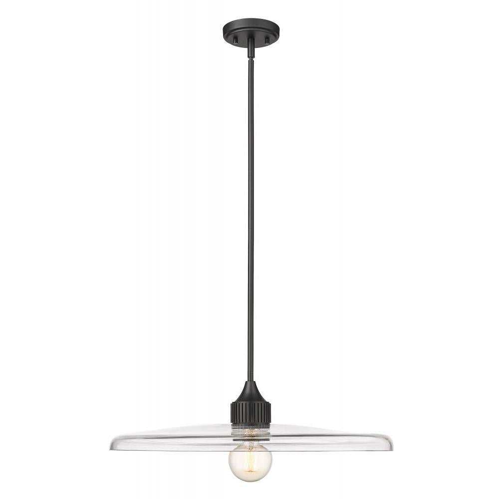 1 Light Pendant-Clear