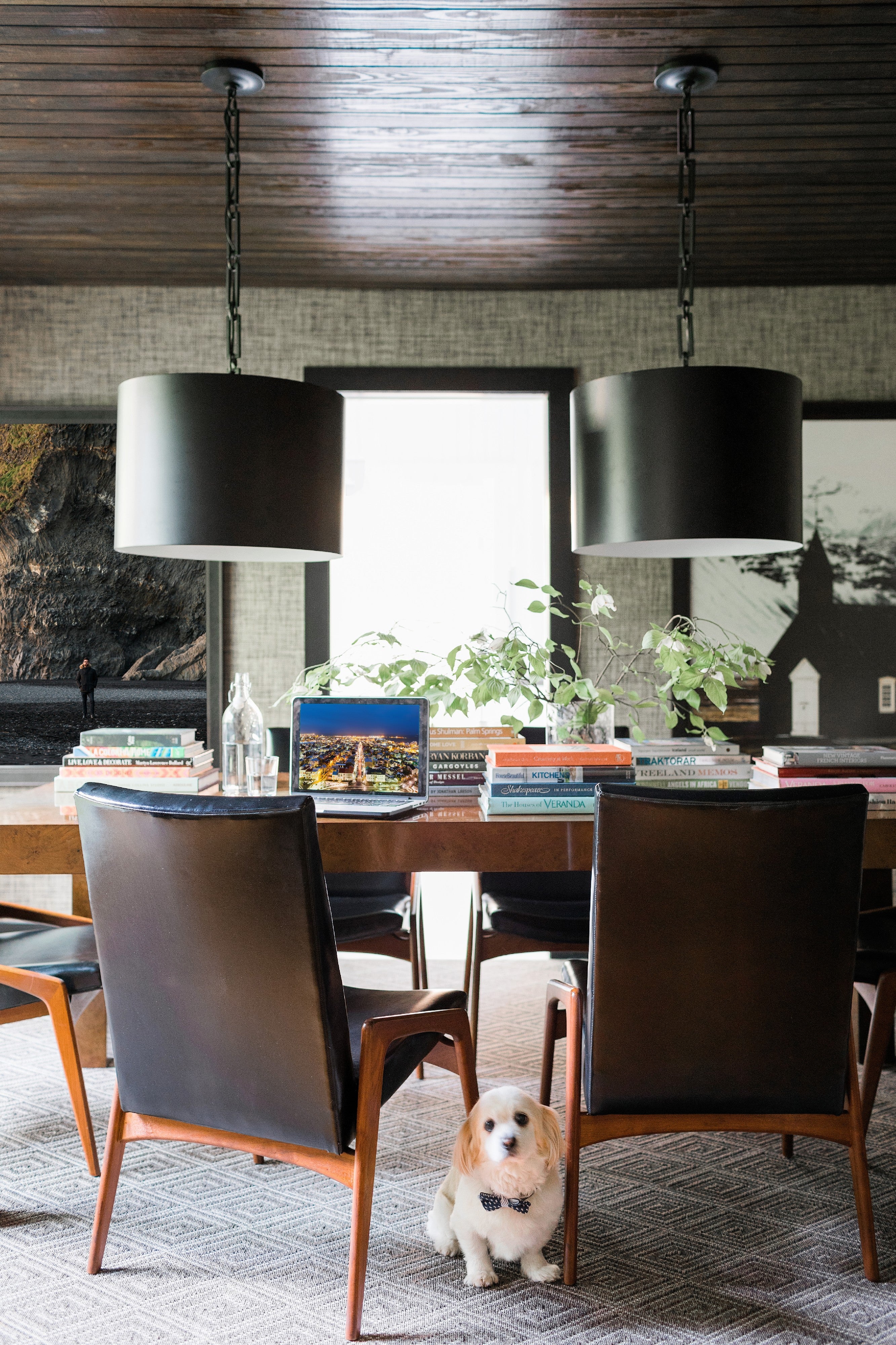 Crystorama Alston 8686-MK-WH – 20 Inch – 6 Light – Pendant Light – Matte Black + White – Dry Rated