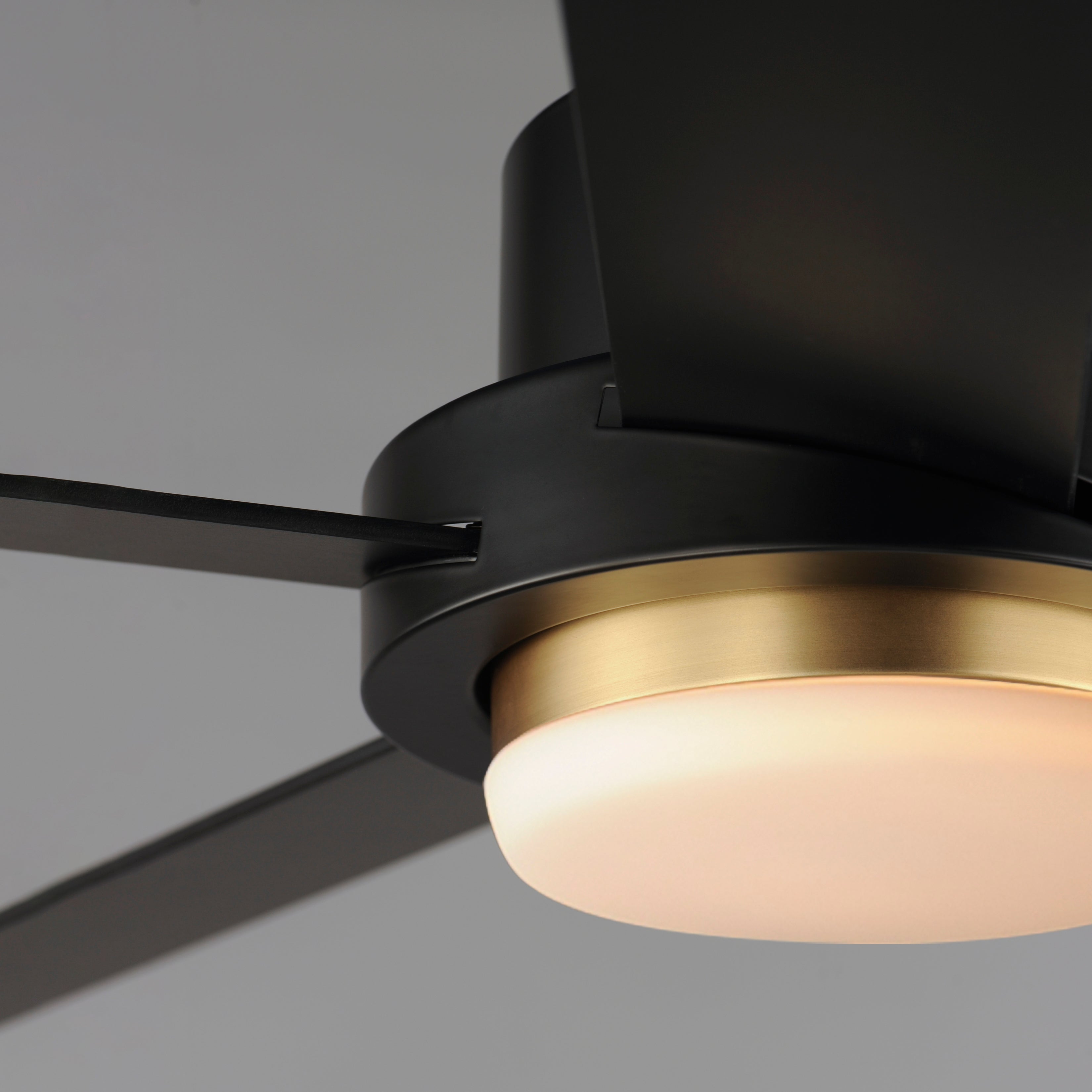 Daisy-Indoor Ceiling Fan