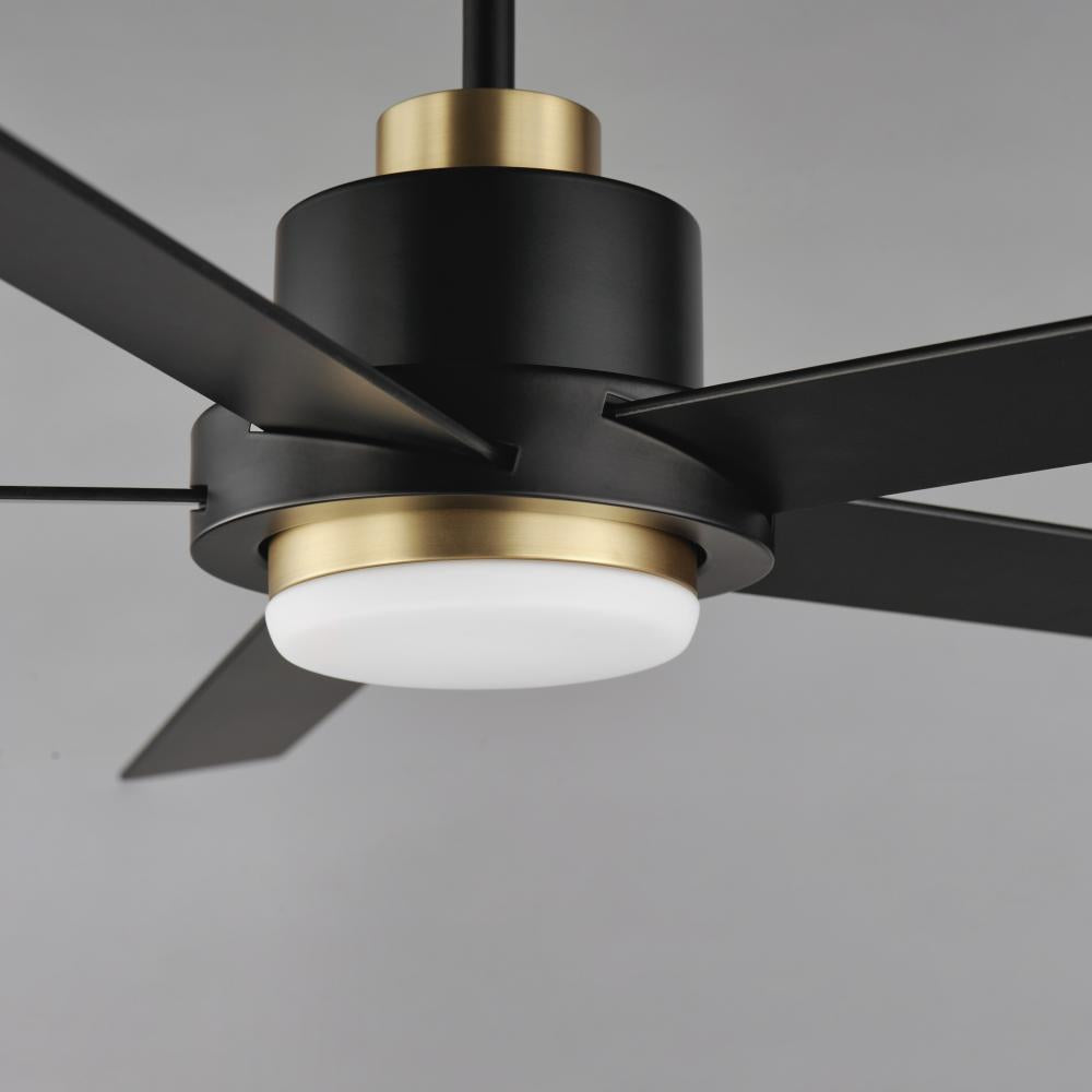 Maxim Lighting DAISY 88826BKGLD Fan - Black Gold